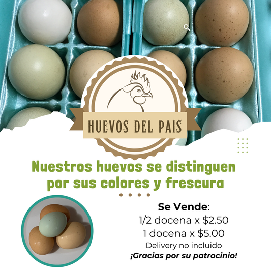 Huevos del País